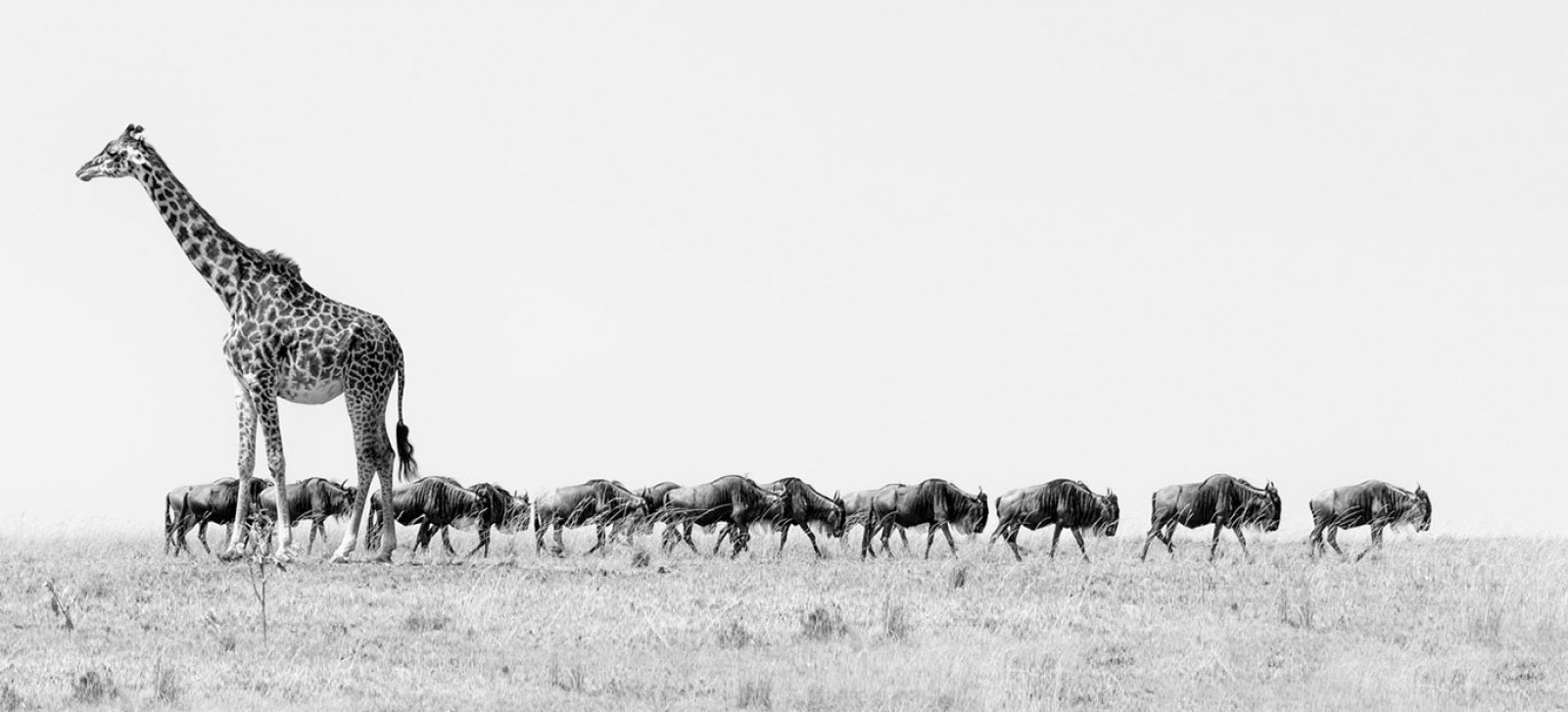 What Makes Your Company Unique?